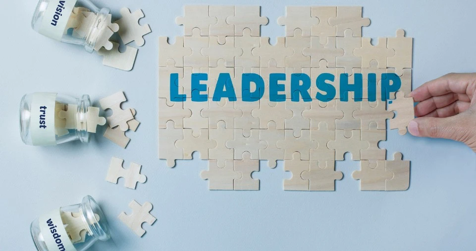 Succession Planning and Leadership Pipeline Development